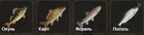 clipboard-1788170141887